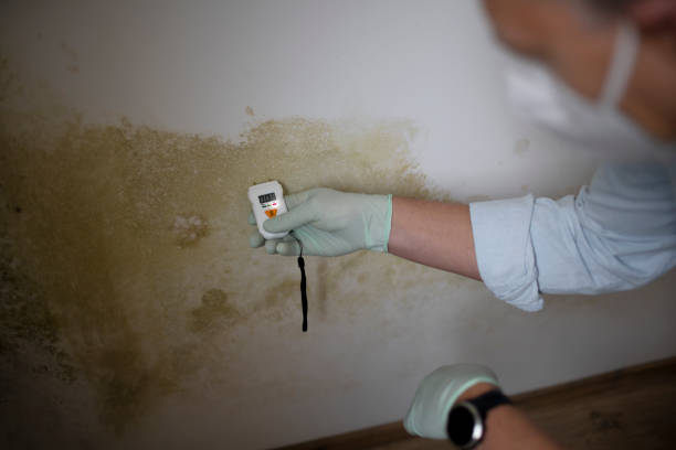 Mold Removal and Inspection in Waukomis, OK