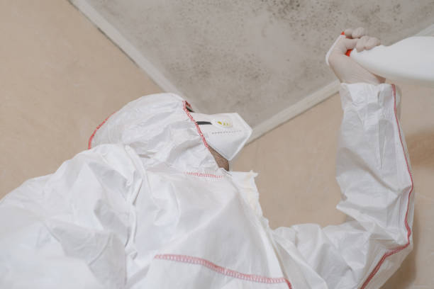 Best Best Mold Removal Companies  in Waukomis, OK