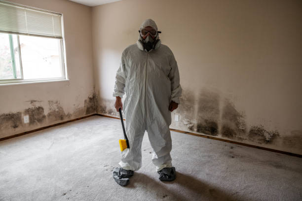 Best Home Mold Removal  in Waukomis, OK