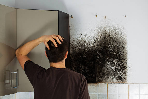 Best Local Mold Removal Service  in Waukomis, OK
