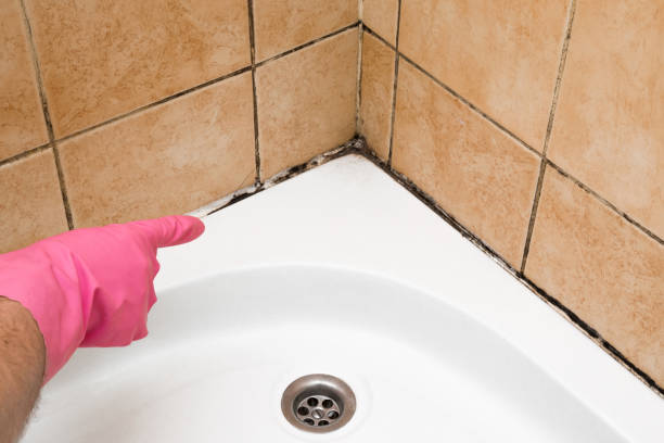 Best Commercial Mold Removal  in Waukomis, OK